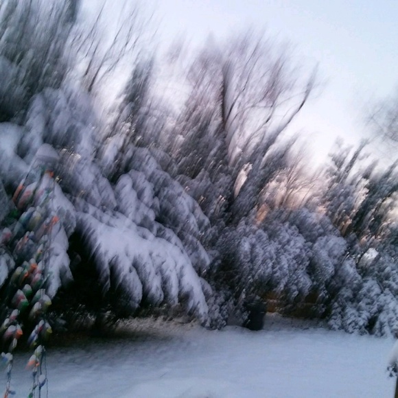 Meet your Posher, Evelyn - Picture 1 of 1